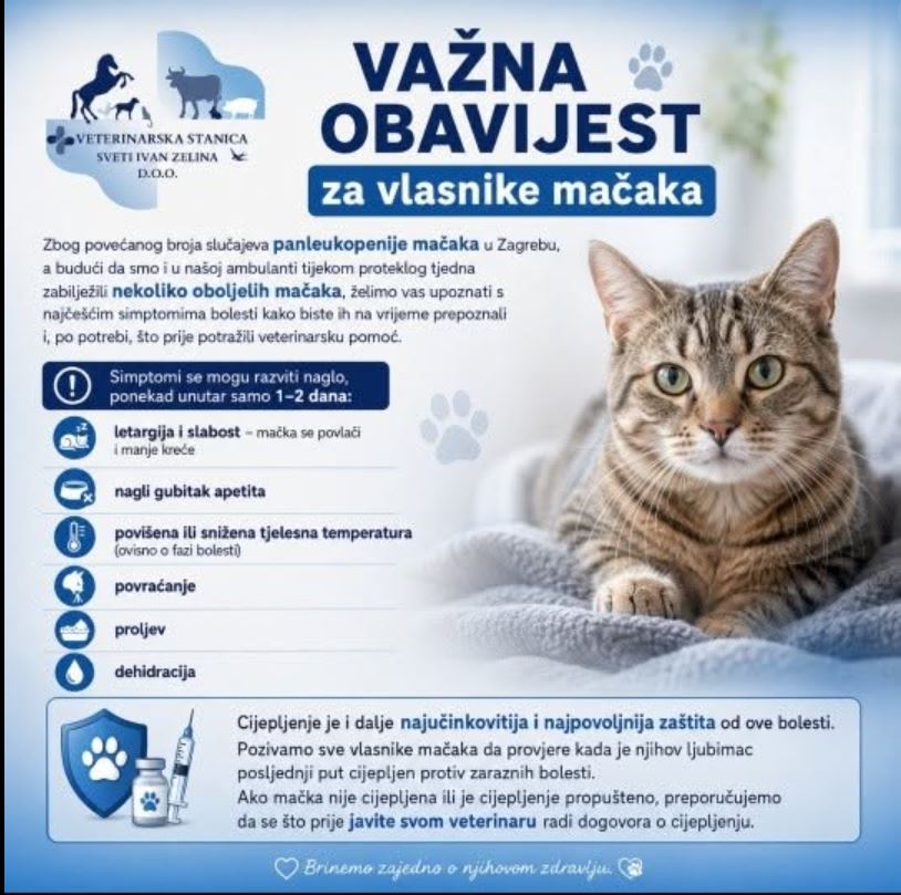 Panleukopenija - zabilježeno  nekoliko oboljelih mačaka i u našoj ambulanti.