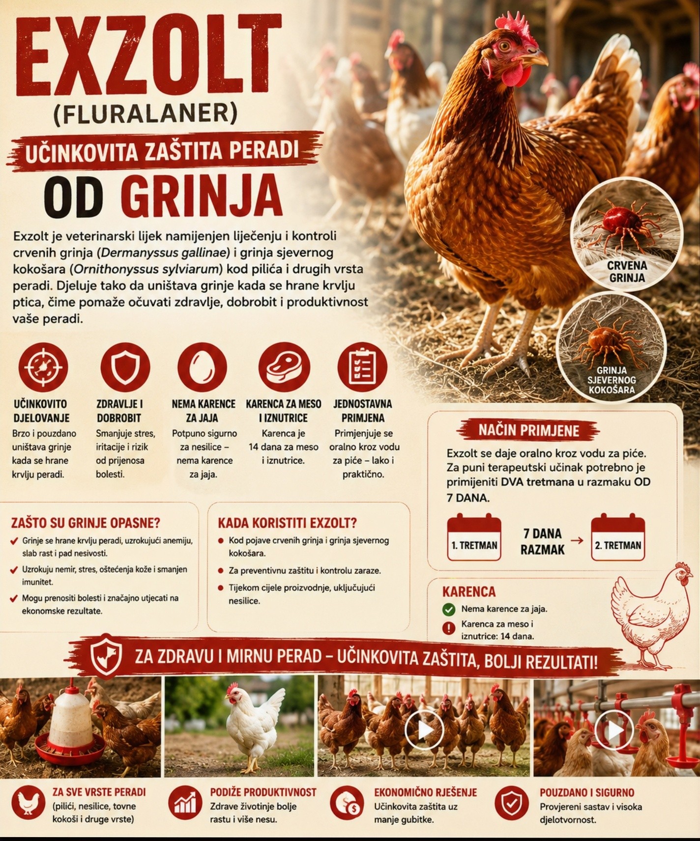 EXZOLT - protiv tekuti u kokošinjcu